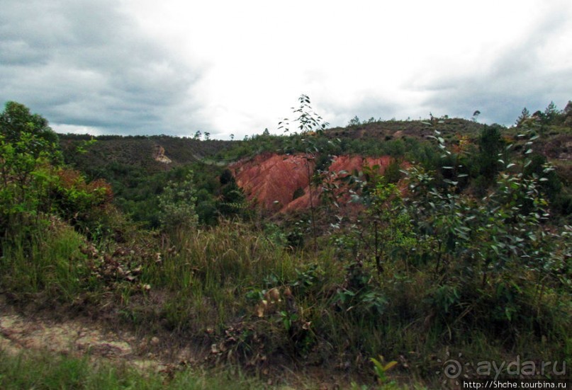 Мадагаскарские картинки. Восточная провинция Туамансина