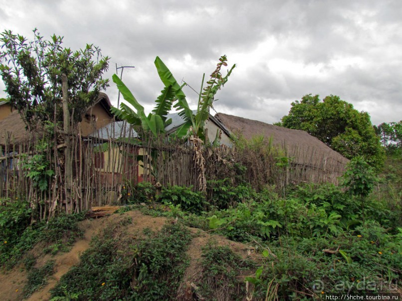Мадагаскарские картинки. Восточная провинция Туамансина