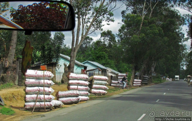 Мадагаскарские картинки. Восточная провинция Туамансина