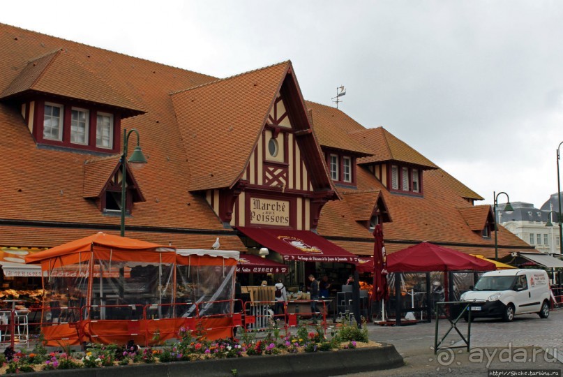 Лучшие в мире устрицы и другие морские вкусности