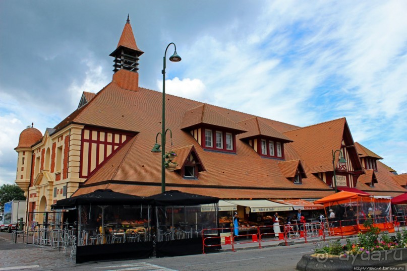 Лучшие в мире устрицы и другие морские вкусности