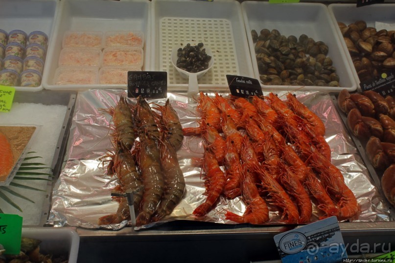 Лучшие в мире устрицы и другие морские вкусности