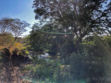 Тропа $$#кливого крокодила