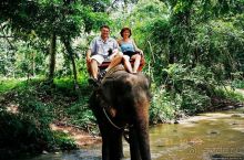 На слонах по джунглям Самуи