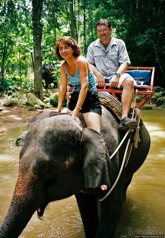 На слонах по джунглям Самуи