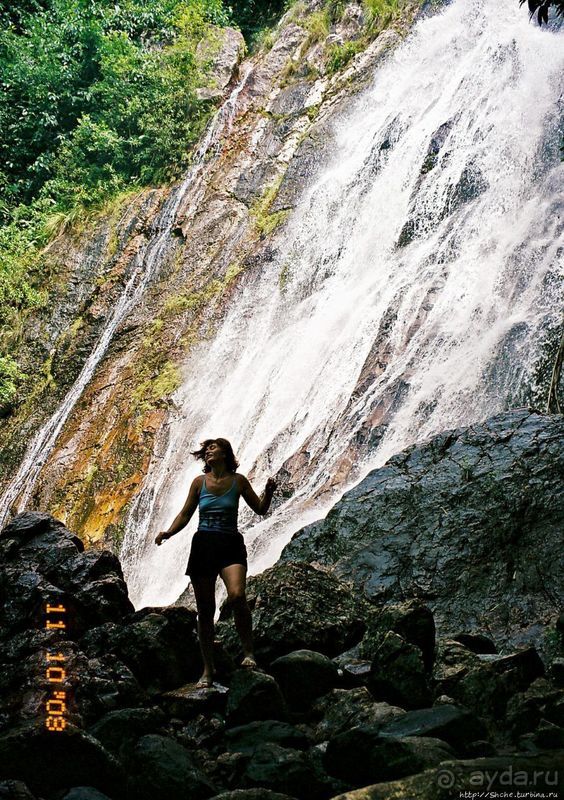 На слонах по джунглям Самуи