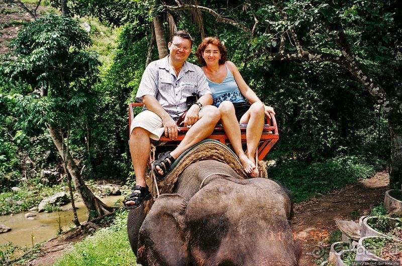 На слонах по джунглям Самуи