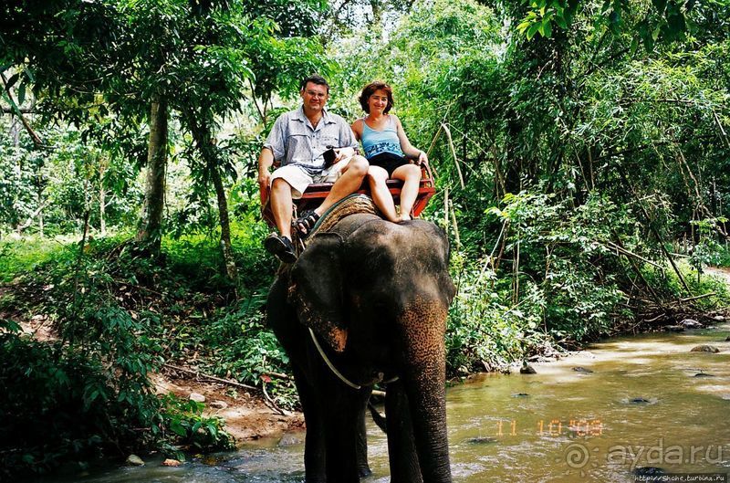 На слонах по джунглям Самуи