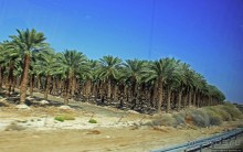 Если выглянуть в окошко, там Израиля немножко