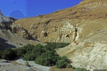 Если выглянуть в окошко, там Израиля немножко