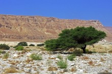 Если выглянуть в окошко, там Израиля немножко