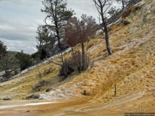 Мамонтовый источники - нижняя площадка. "Палец дьявола"