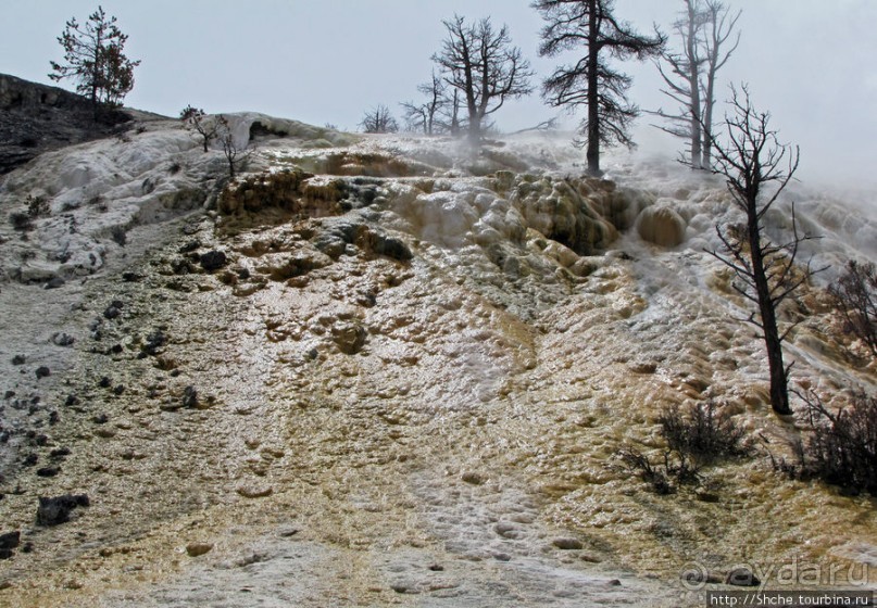 Мамонтовый источники - нижняя площадка. "Палец дьявола"