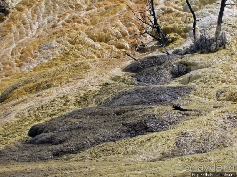 Мамонтовый источники - нижняя площадка. "Палец дьявола"