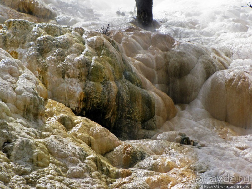 Мамонтовый источники - нижняя площадка. "Палец дьявола"