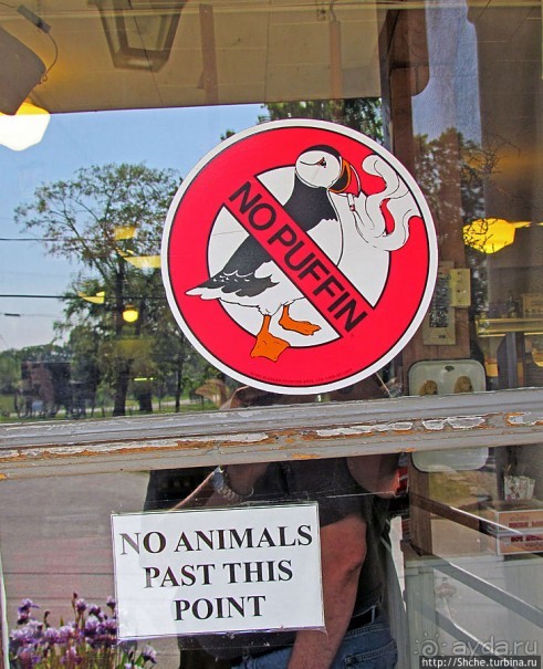 Магазин на "земле амишей" для амишей, и немного для нас