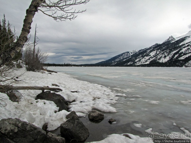 String Lake - наша последняя остановка в Гранд-Тетоне