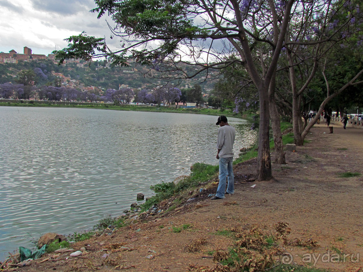 Озеро Аноси ( Lac Anosy ) - чисто эстетическое удовольствие