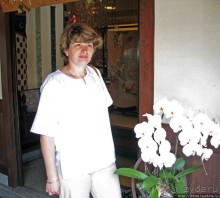 Кафе в старом стиле с магазином антикварных вещей