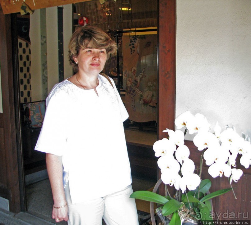 Кафе в старом стиле с магазином антикварных вещей