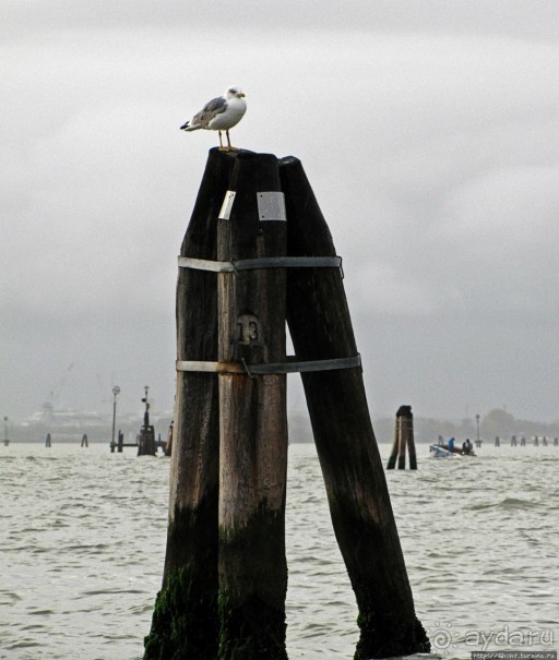 Город Венеция и Венецианская лагуна — Объект ЮНЕСКО № 394