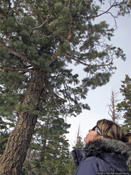 Yovimpa Point -конечная нац. парка, дальше только небо