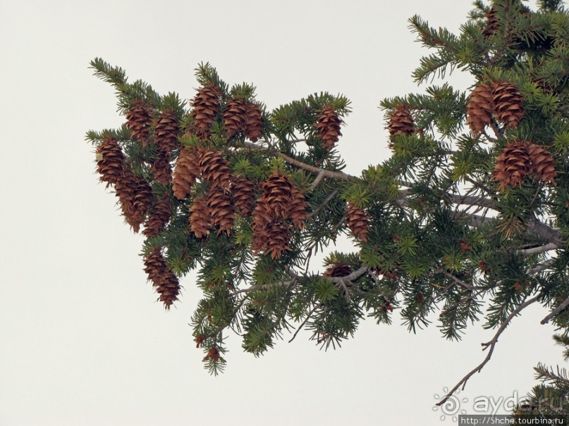 Yovimpa Point -конечная нац. парка, дальше только небо