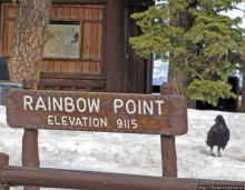 Yovimpa Point -конечная нац. парка, дальше только небо