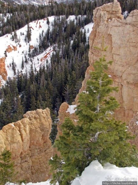 Yovimpa Point -конечная нац. парка, дальше только небо