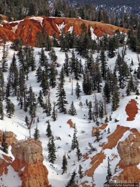 Yovimpa Point -конечная нац. парка, дальше только небо