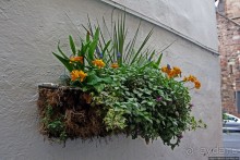 Город кривых зданий , крутых поворотов и тупиковых лестниц