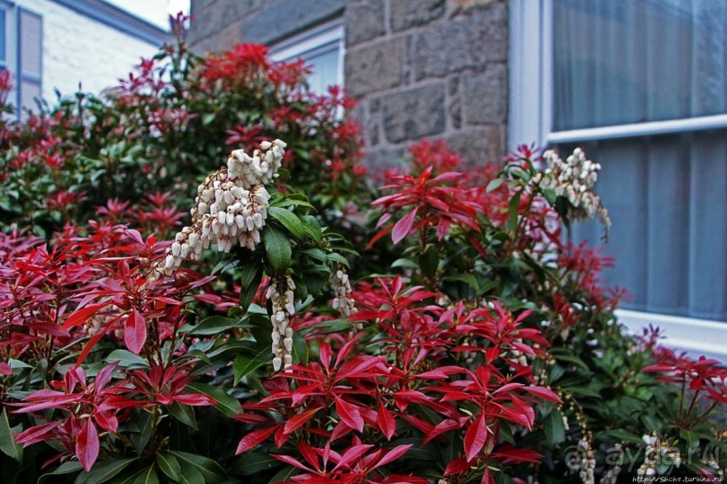 Город кривых зданий , крутых поворотов и тупиковых лестниц