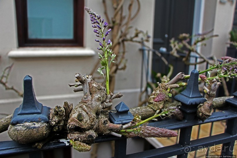 Город кривых зданий , крутых поворотов и тупиковых лестниц