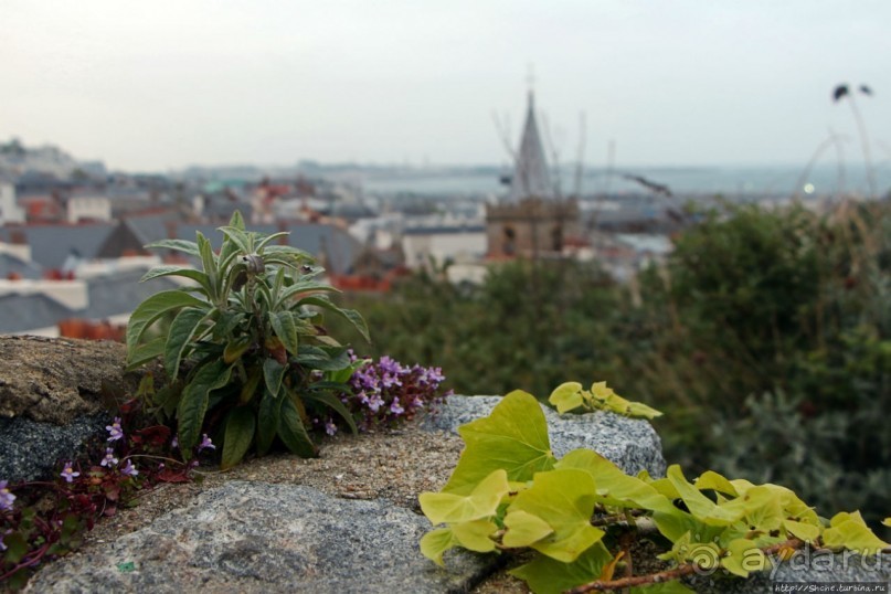 Город кривых зданий , крутых поворотов и тупиковых лестниц