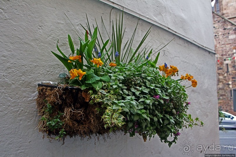 Город кривых зданий , крутых поворотов и тупиковых лестниц