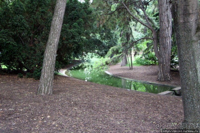 Городской парк Вены, сумерки