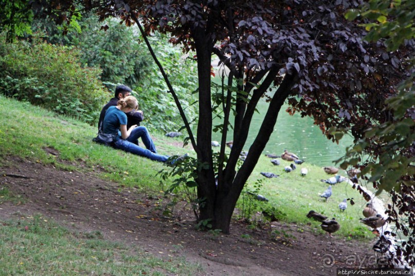 Городской парк Вены, сумерки