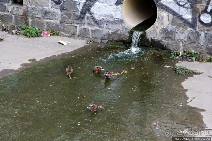 Городской парк Вены, сумерки