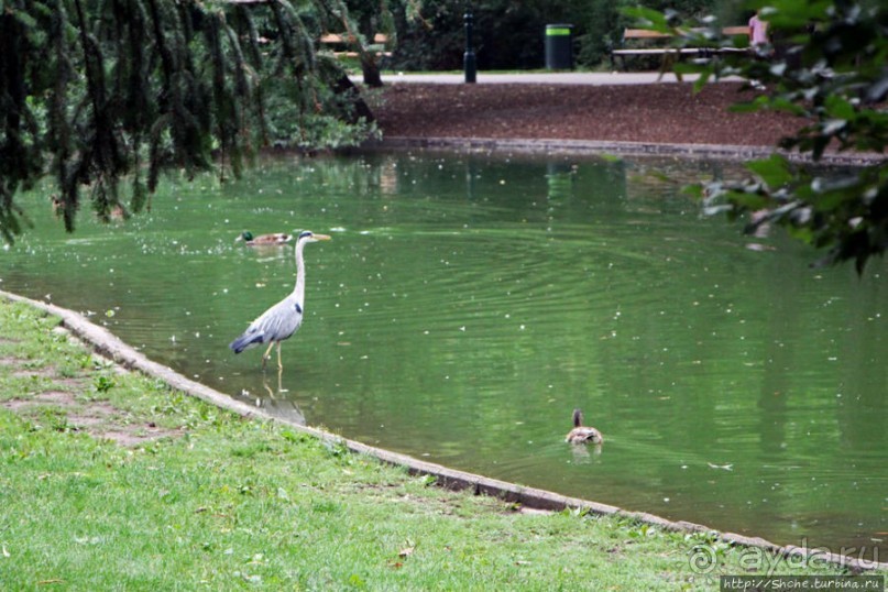 Городской парк Вены, сумерки