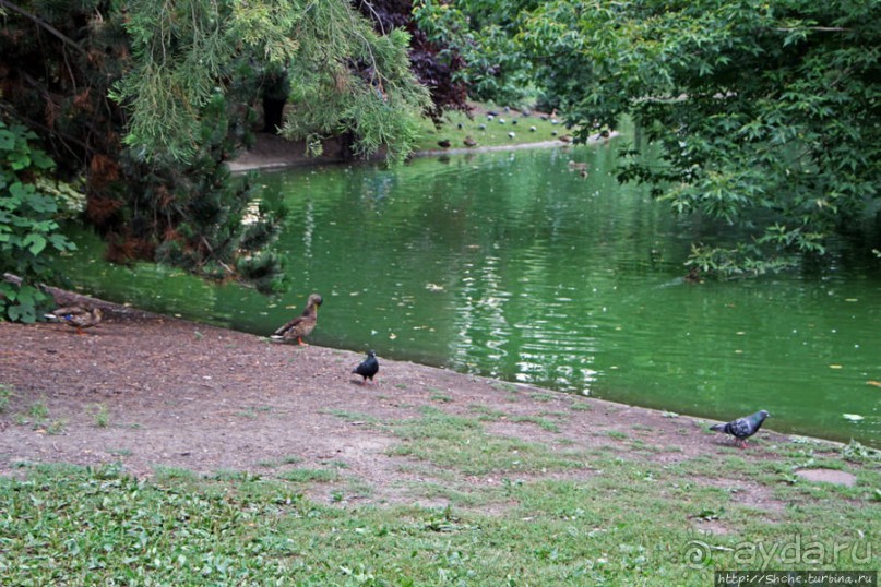 Городской парк Вены, сумерки