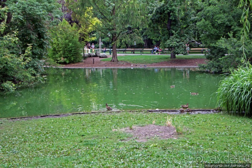 Городской парк Вены, сумерки