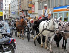 Венские фаэтоны и другой транспорт