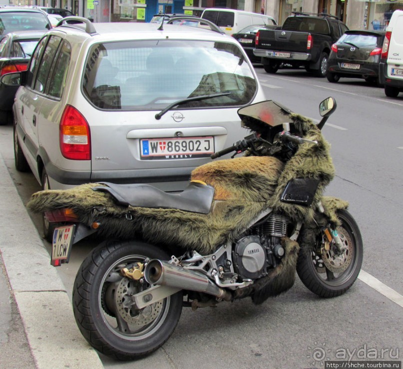 Венские фаэтоны и другой транспорт