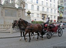 Венские фаэтоны и другой транспорт