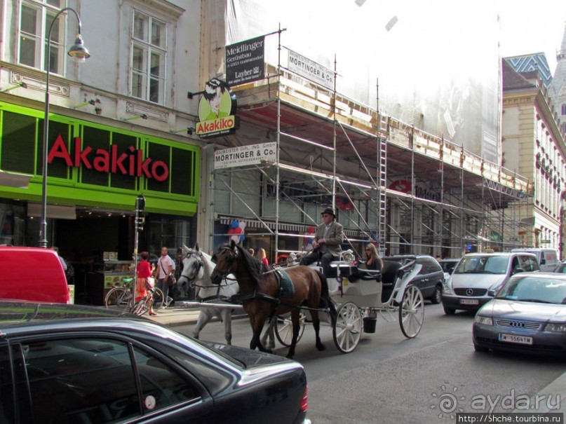 Венские фаэтоны и другой транспорт