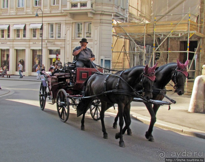 Венские фаэтоны и другой транспорт