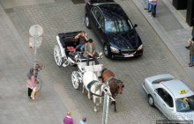 Венские фаэтоны и другой транспорт