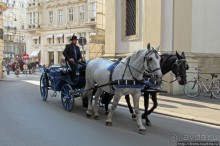 Венские фаэтоны и другой транспорт