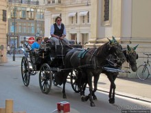 Венские фаэтоны и другой транспорт