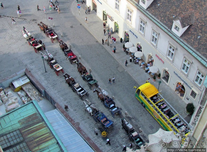 Венские фаэтоны и другой транспорт